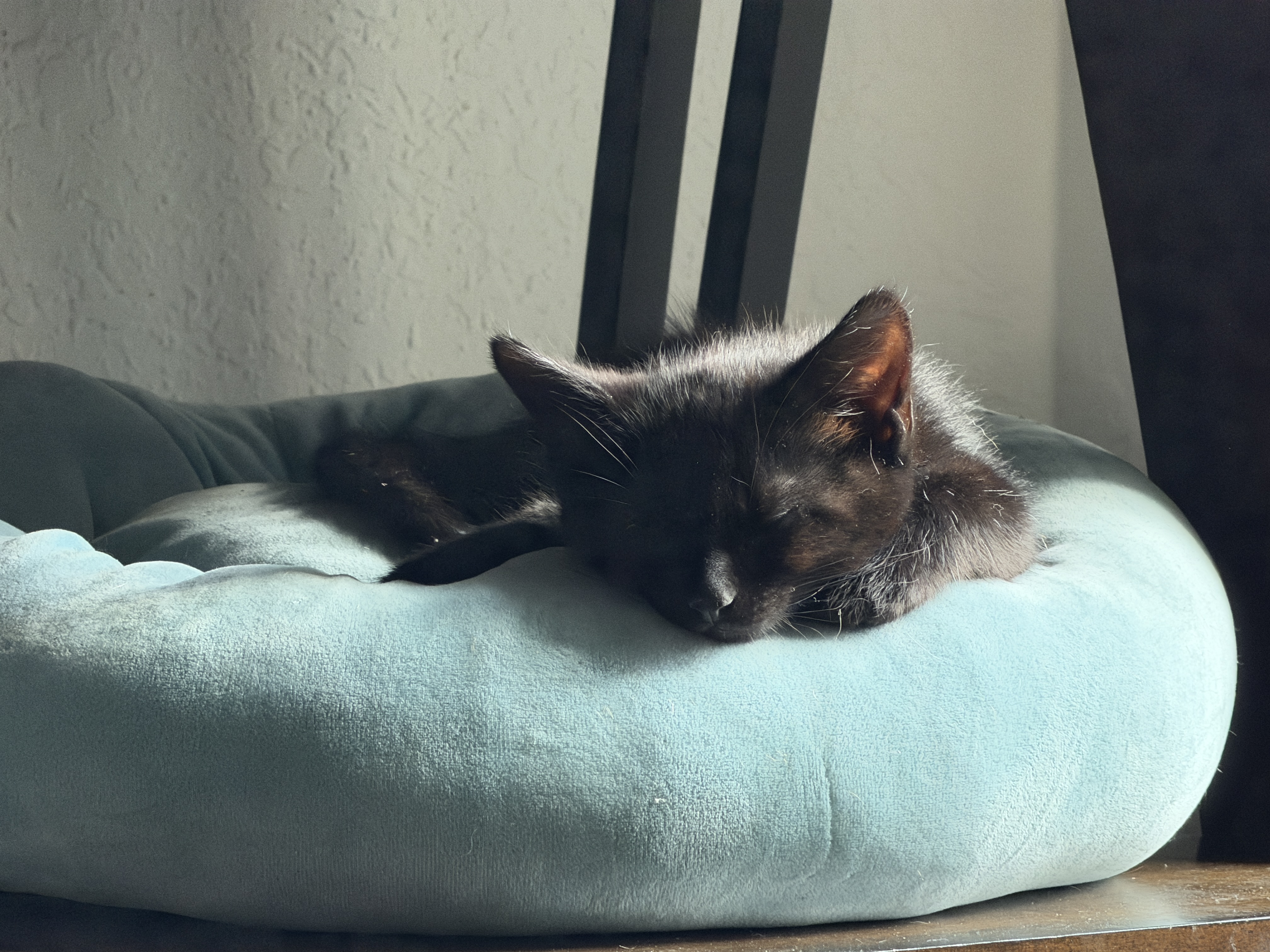 Camera image samples taken with an iPhone 17 Pro Max