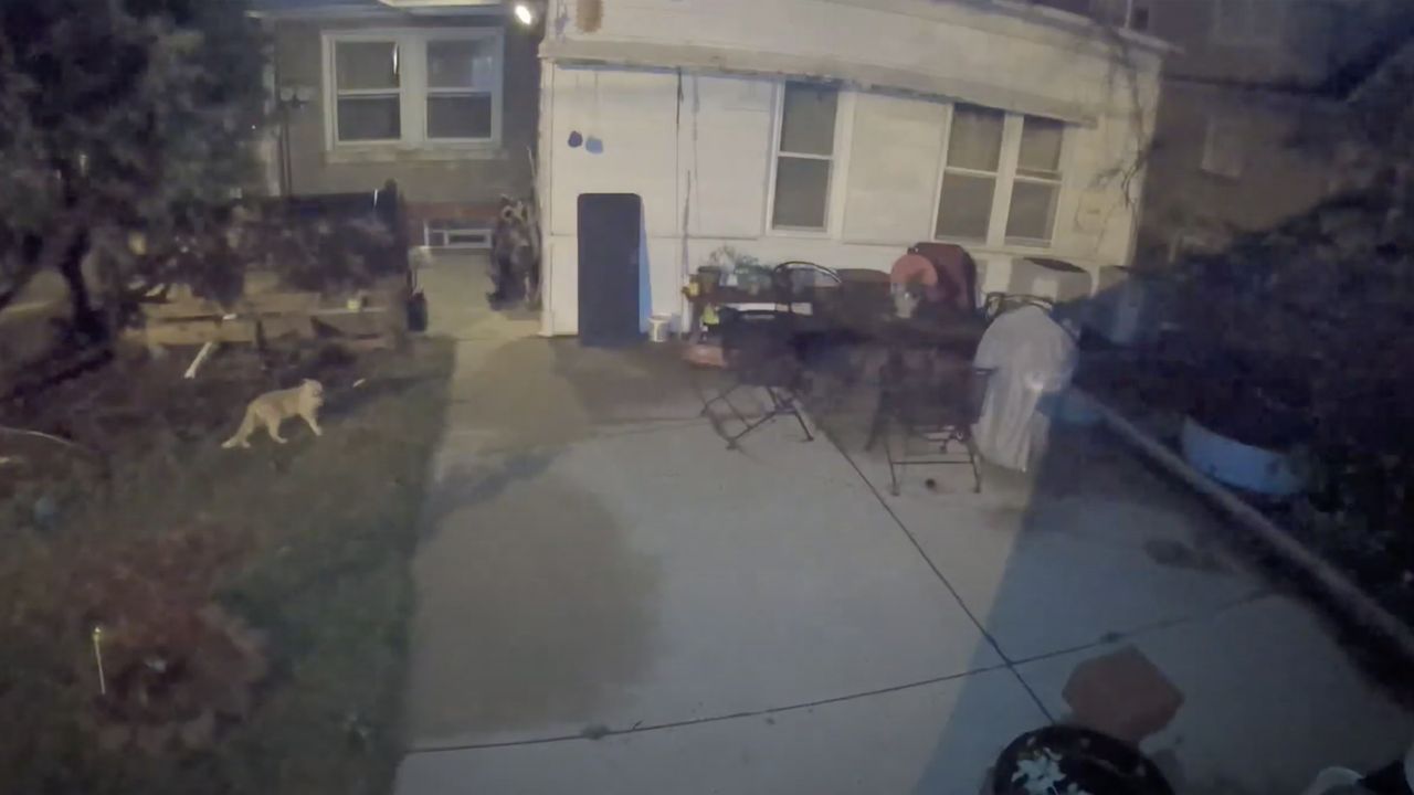 Arlo Pro 4 security footage