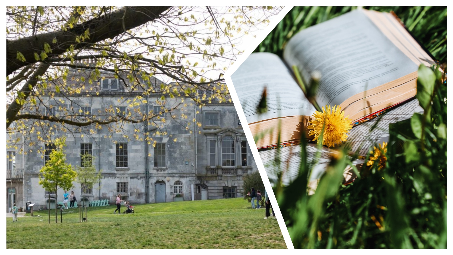 Beckenham mansion alongside a book in grass 