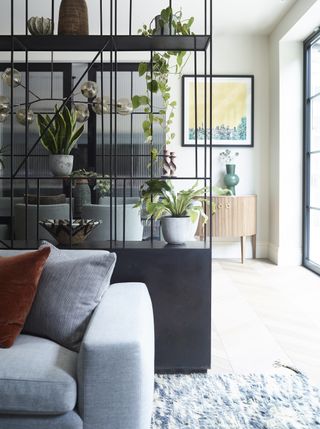 Plants on an open living room shelf