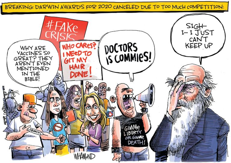 Editorial Cartoon U.S. anti lockdown protesters darwin awards coronavirus