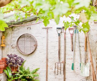 garden tools hanging in outhouse