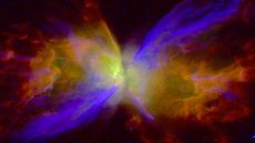 A color rendition of NGC 6302, the Butterfly Nebula, created from black-and-white exposures taken by the Hubble Space Telescope in 2019 and 2020. In the violet-colored regions, strong stellar winds are actively reshaping the nebular wings over the past 900 years. The other features range in age from 1200 to 2300 years.