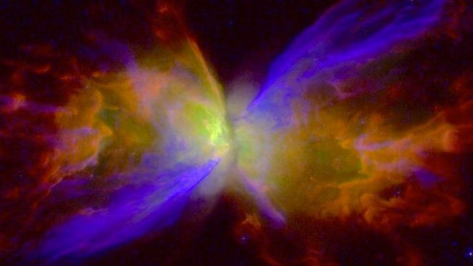 A color rendition of NGC 6302, the Butterfly Nebula, created from black-and-white exposures taken by the Hubble Space Telescope in 2019 and 2020. In the violet-colored regions, strong stellar winds are actively reshaping the nebular wings over the past 900 years. The other features range in age from 1200 to 2300 years.