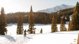 Skiers in Colorado