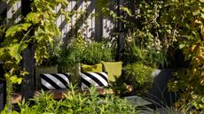 seating area under a living pergola canopy in a garden
