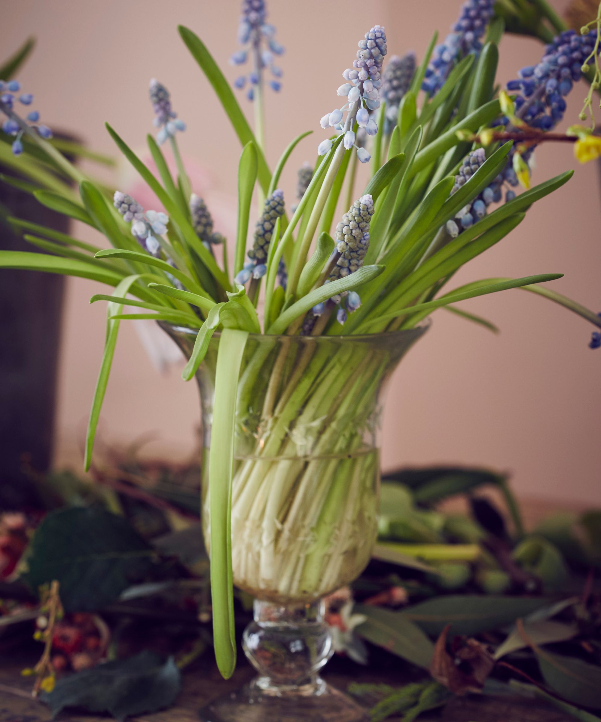 A glass vase filled with a bunch of lavender, pictured against a pale pink wall. The vase is surrounded by fallen dark green leaves on the countertop, shown out of focus.