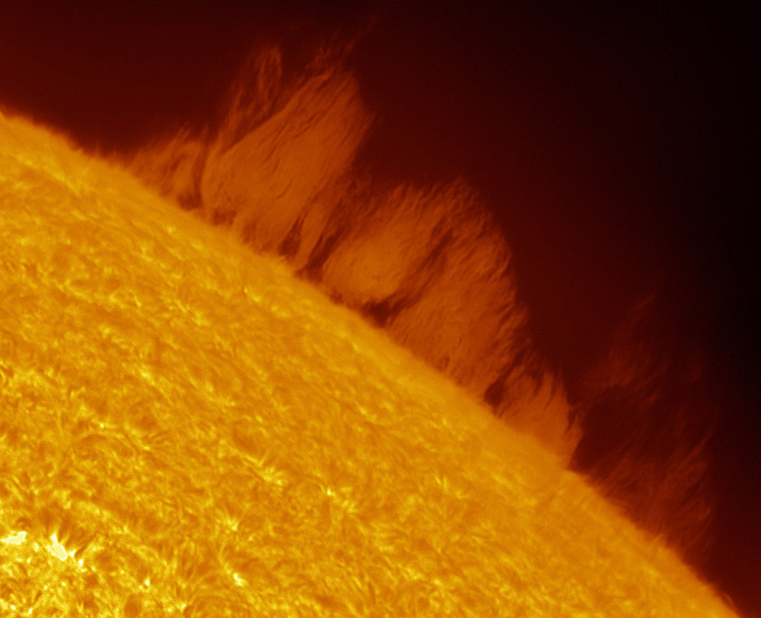 Insight Astronomy Photographer of the Year 2016