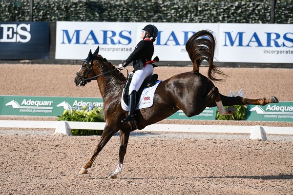 Natasha BAKER (GBR) riding MOUNT ST JOHN DIVA DANNEBROG in the grade III during the FEI Para Dressage Championships at the FEI World Equestrian Games Tryon 2018 at Tryon International Equestrian Centre, near Tryon North Carolina in the USA between 11th-23rd September 2018