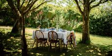 A laid table ready for guests boasts blue and white serveware in an idyllic, pink roses-dotted garden bathing in sunshine.