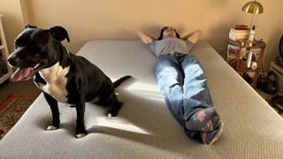 A man in a t-shirt and jeans lying on his back on the Casper One Mattress in his bedroom, with his black and white dog sitting on the other side contentedly