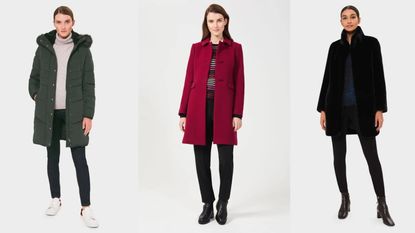 Hobbs winter coat collection