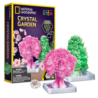 National Geographic Crystal Garden Science Kit: $11.99