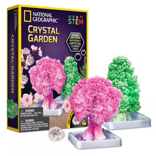 National Geographic's crystal garden science kit is on sale this Black Friday weekend 2021.