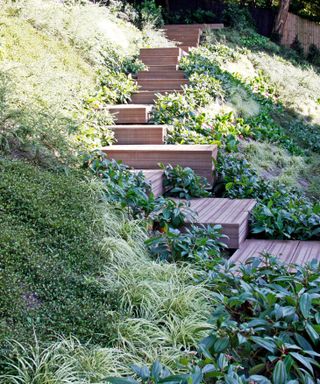 sloped garden with platform deck and planted slopes in a design by Mandy Buckland of Greencube Garden & Landscape Design
