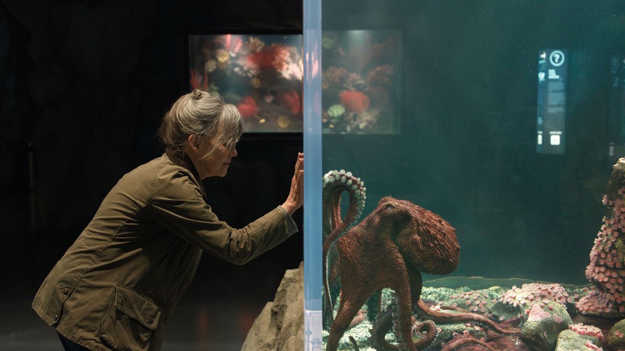 As Remarkably Bright Creatures Hits Netflix, The Same Word Keeps Coming Up In Critics’ Reviews - Cinemablend