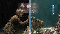 Sally Field is shown with the octopus Marcellus in Remarkably Bright Creatures.