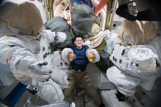 Astronaut Norishige Kanai of the Japan Aerospace Exploration Agency tries on a pair of spacesuit sleeves inside the Quest airlock of the International Space Station.