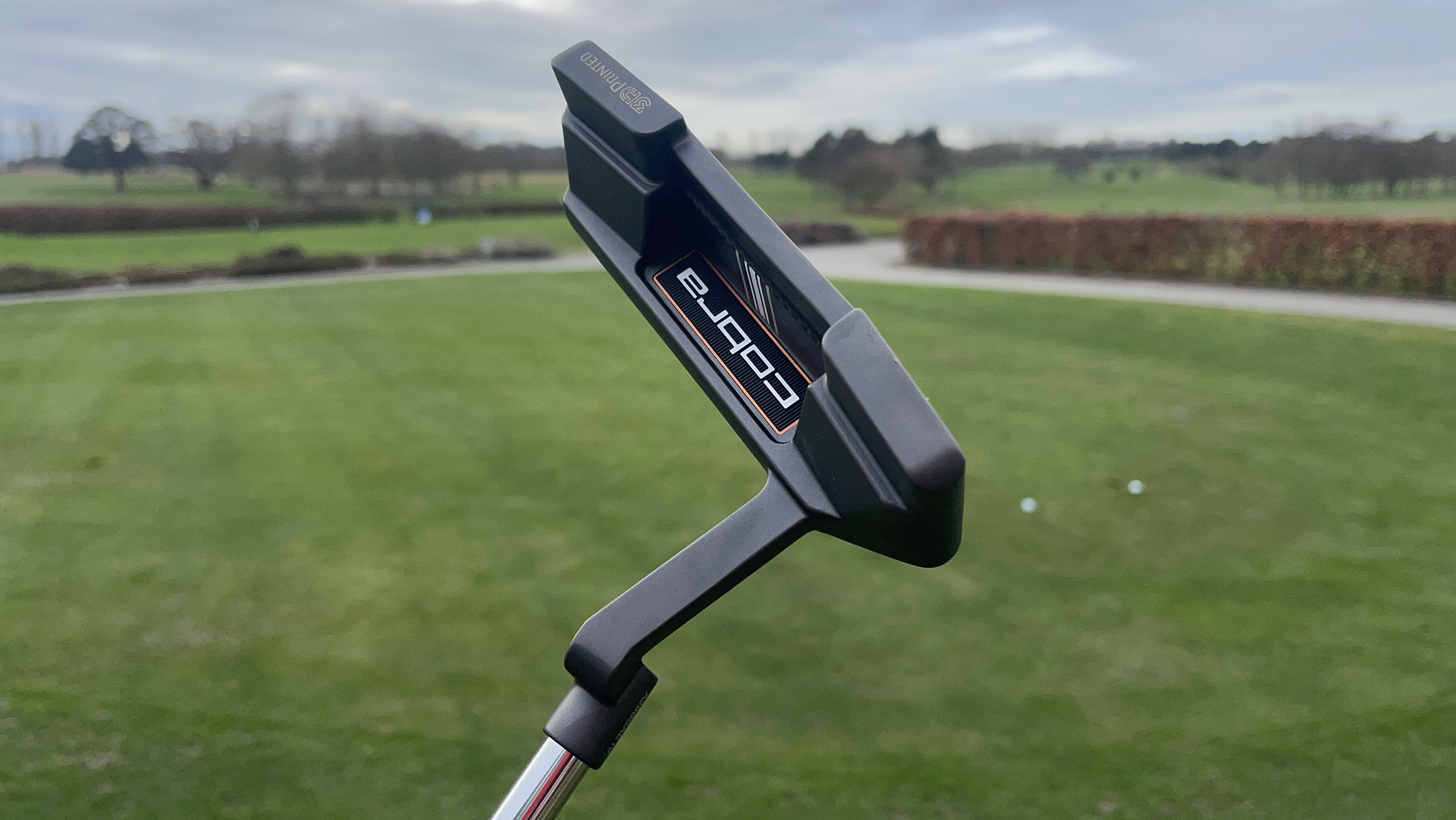 Cobra Grandsport 3D retailer Putter