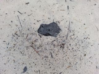 800 Gram Find in-situ in Osceola Meteorite Recovery
