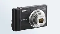 Best camera: Sony Cyber-shot DSC-W800