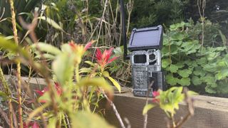 Spypoint Link-Micro-S-LTE trail camera, positioned on a fence in natural surroundings