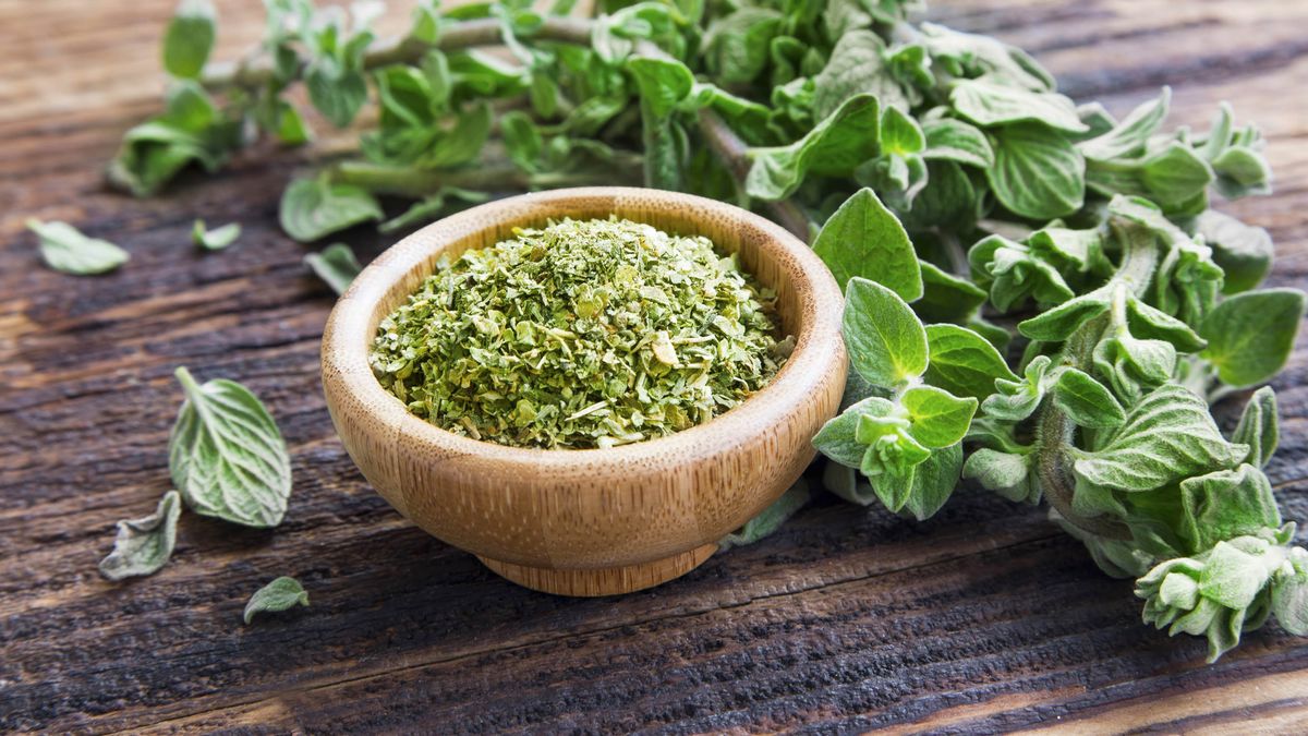 Dried herbs in container next to fresh herbs