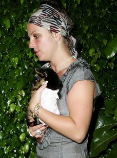 Britney Spears with her new puppy