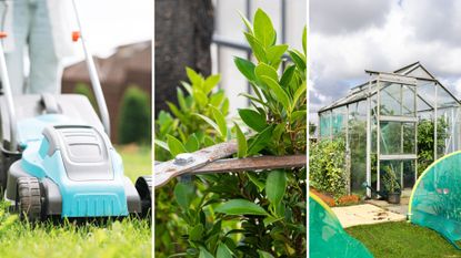 composite of mowing, pruning and a urban greenhouse in a garden
