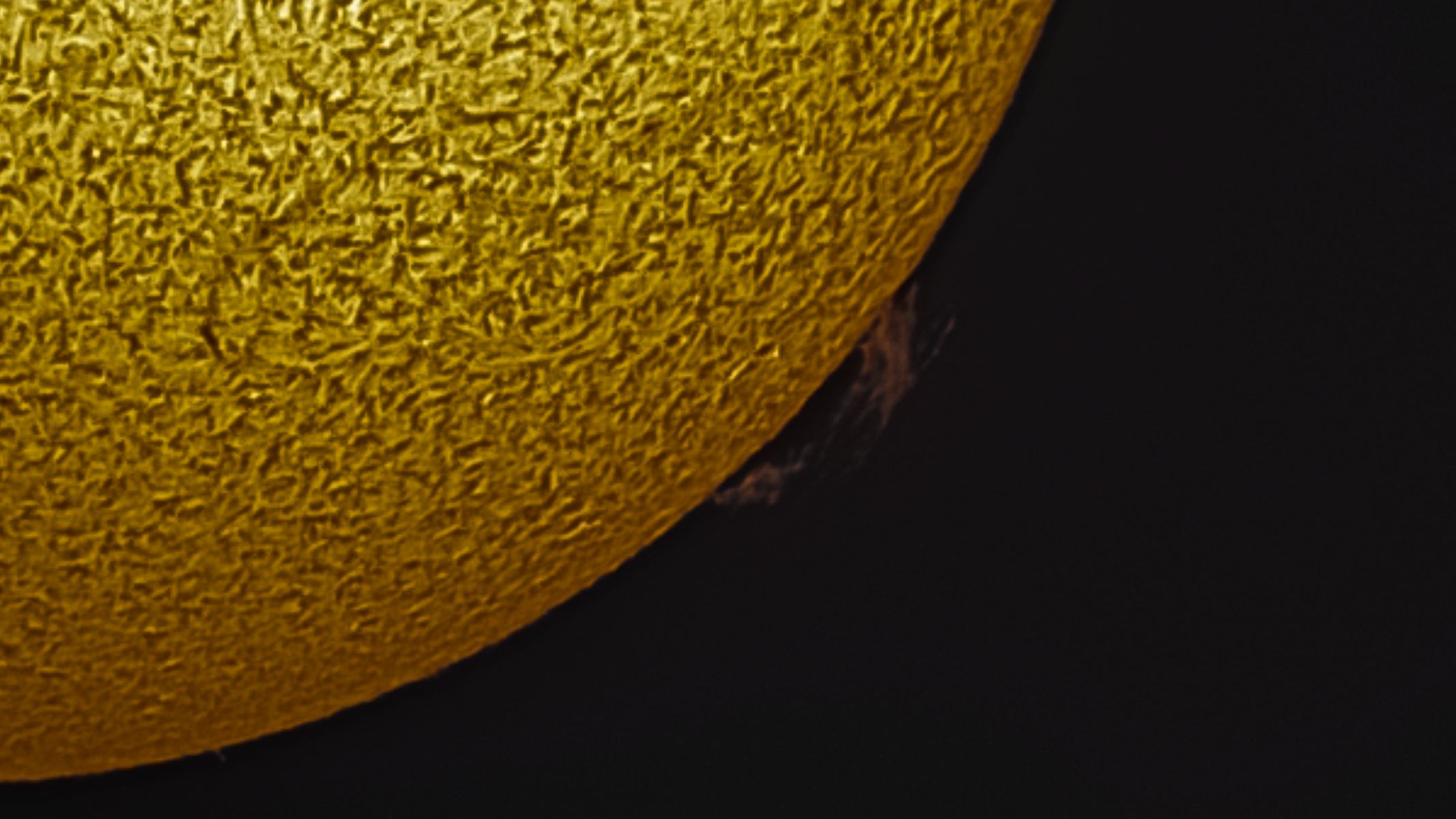 A portion of the solar disk in wrinkled gold and black bacground, as imaged by the ZWO ASI174mm mono camera.