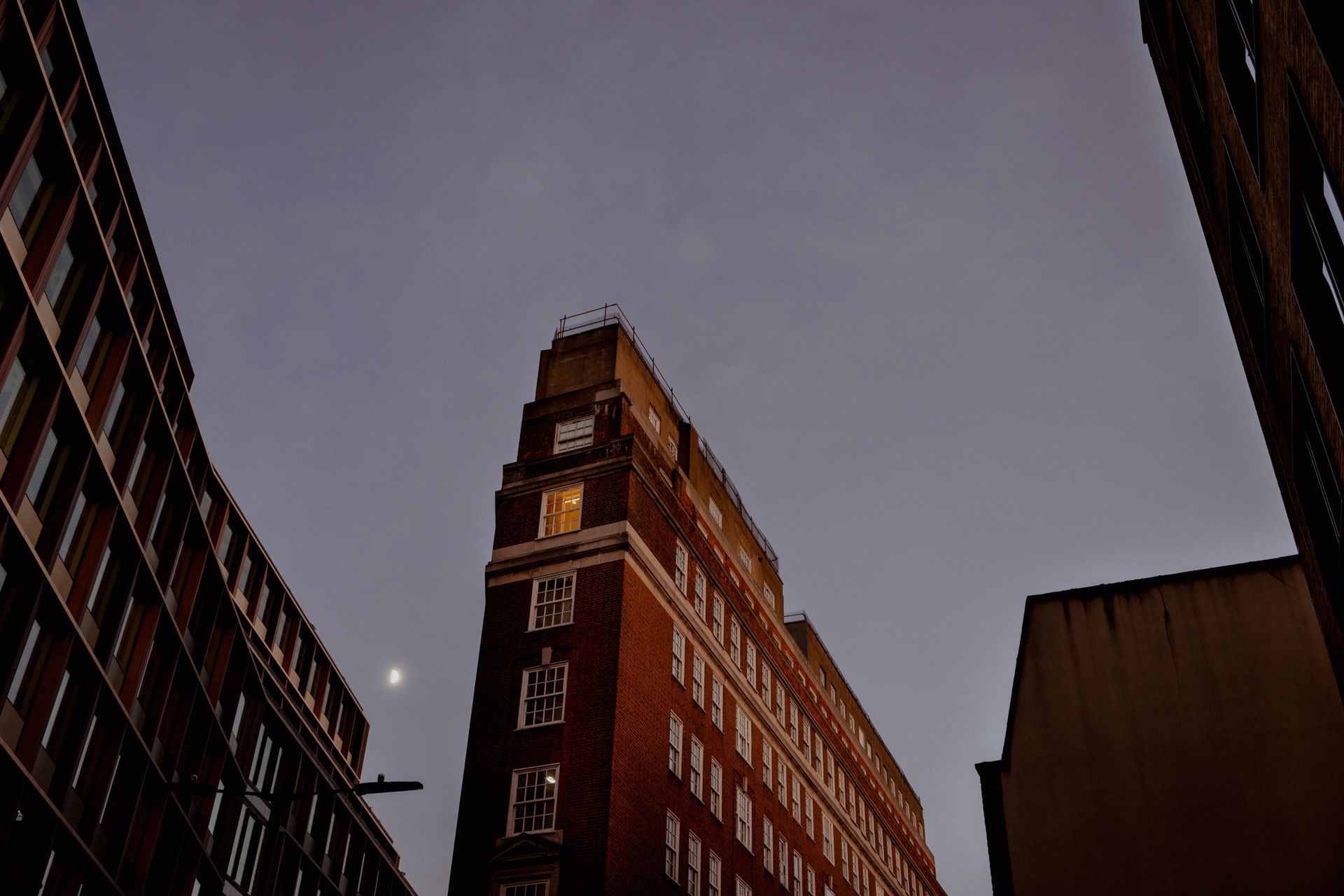 Nikon Z 24-105mm f/4-7.1 sample image