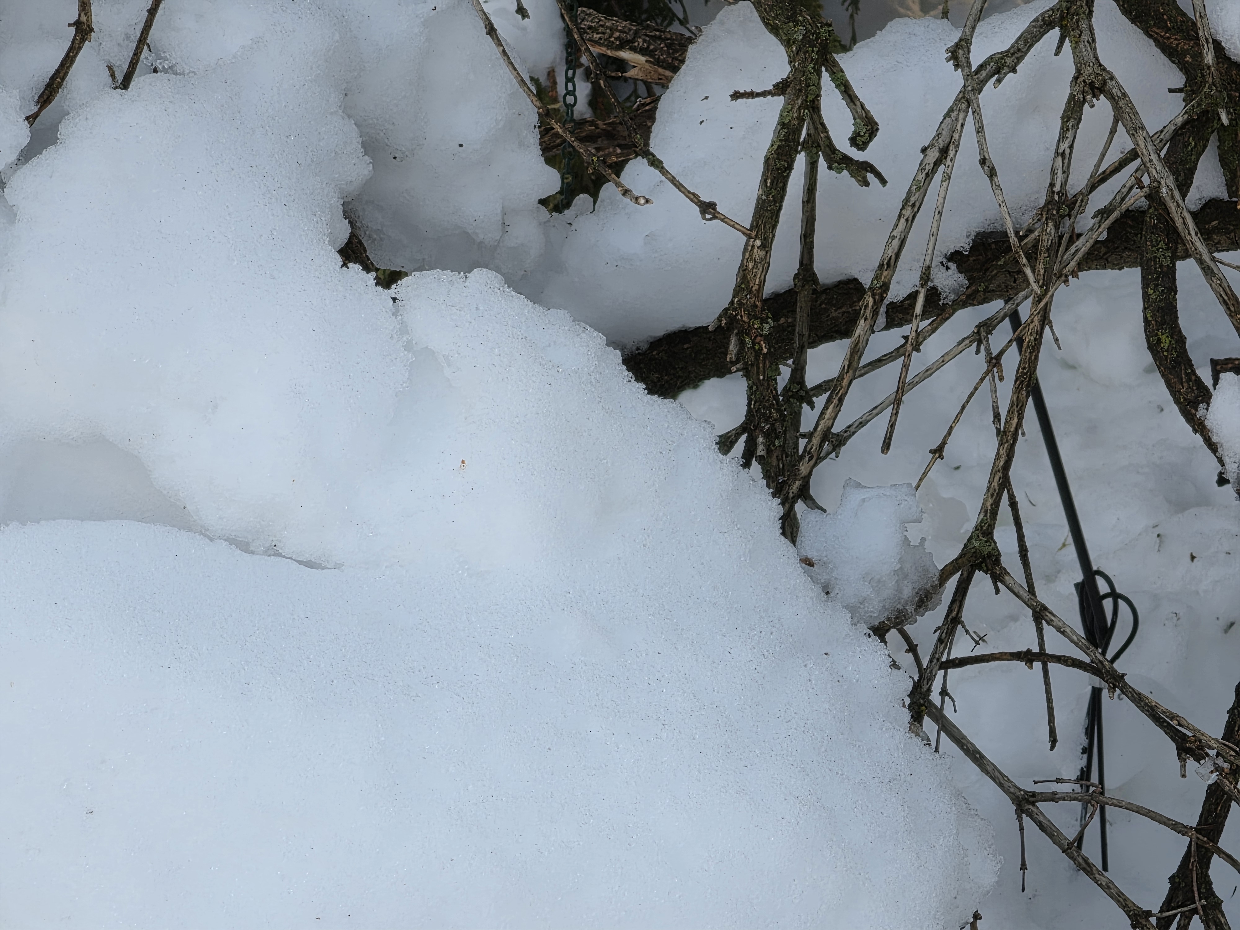 Samsung Galaxy S26 Ultra