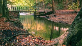 Still water, bridge, trees, reflections