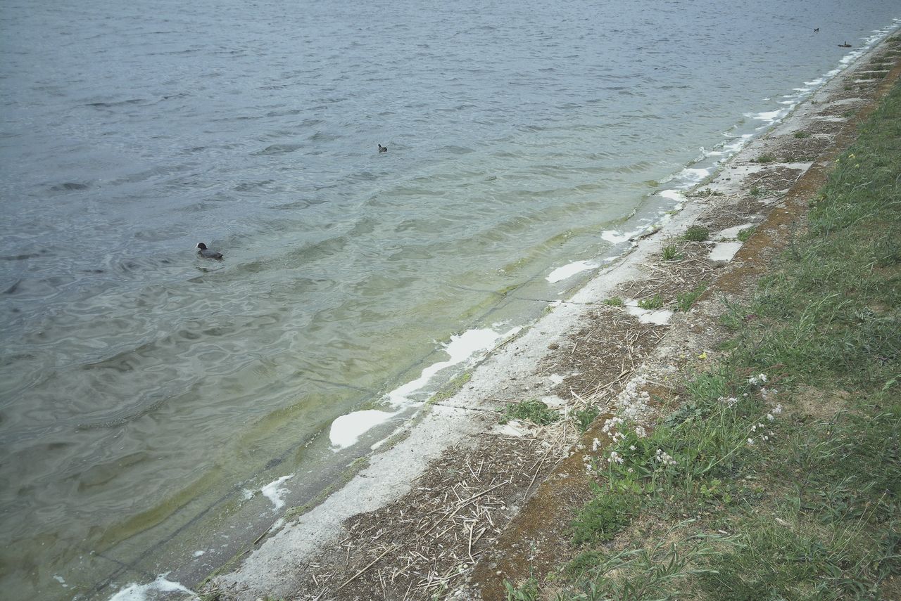 Photograph taken with the RewindPix digital compact