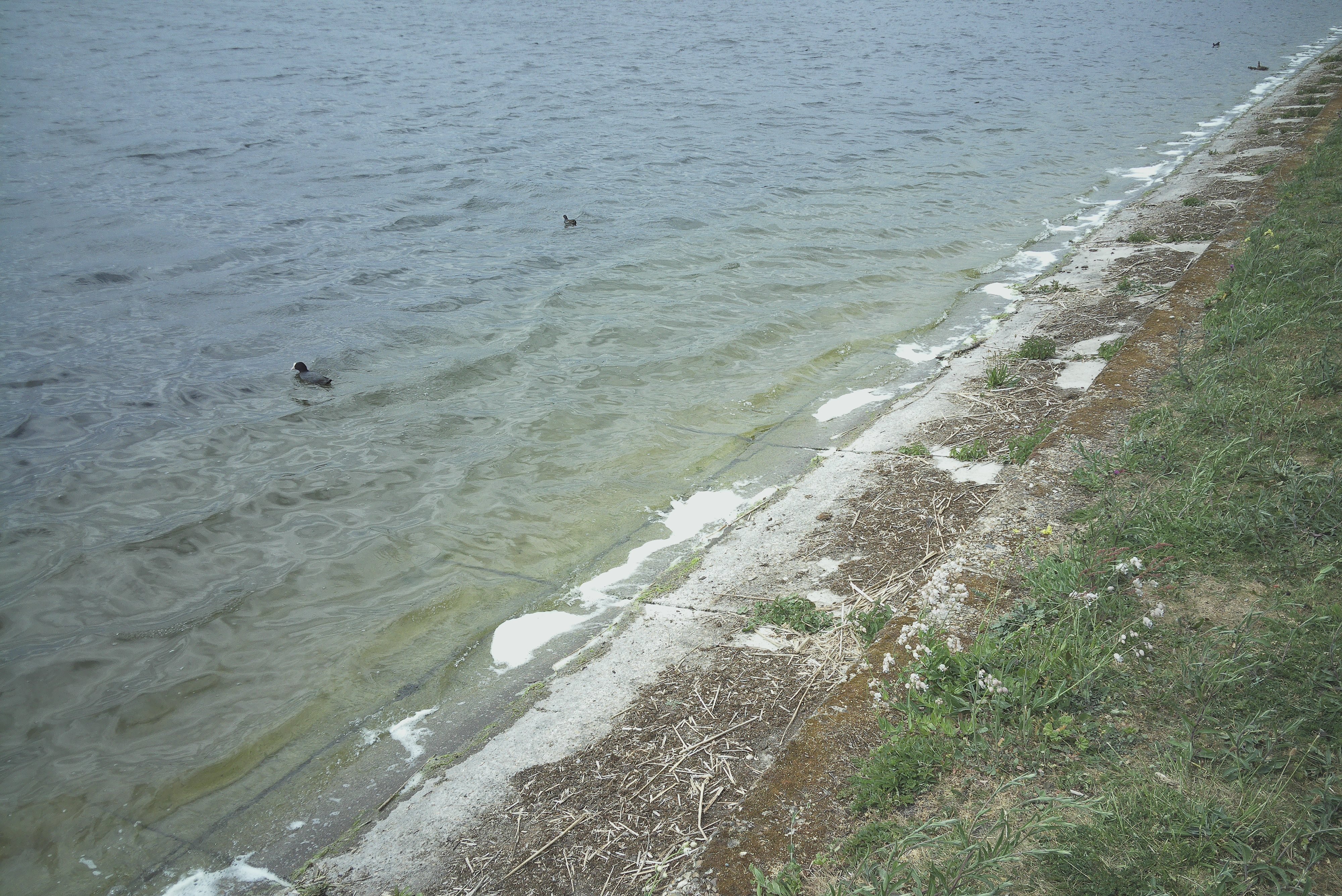 Photograph taken with the RewindPix digital compact showing water lapping shore at a reservoir, tones are muted