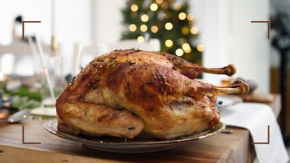 Roast turkey sitting on metal tray on dining room table with glow of Christmas tree behind, representing why does turkey make you sleepy