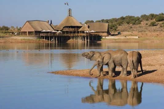 Buffelsdrift Game Lodge will host Sunday's opening stage, a 15km prologue time trial at the Cape Pioneer Trek