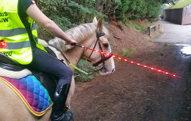 Lightupwhip1.jpg