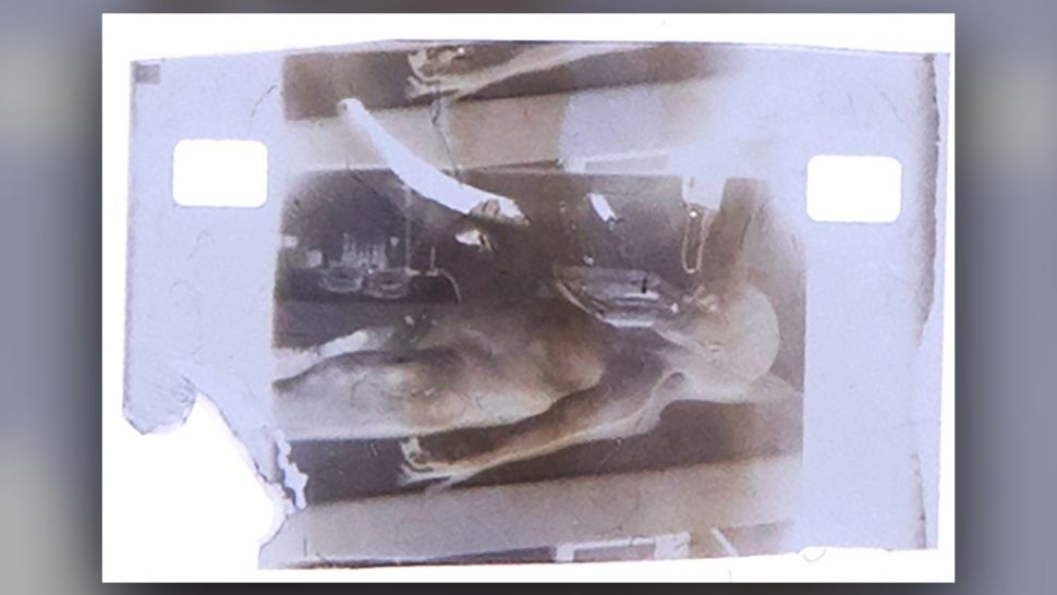 1947 'alien autopsy' film frame is up for auction as an NFT - Space.com