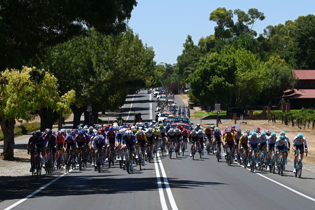 TANUNDA AUSTRALIA JANUARY 22 A general view of the peloton competing during the 25th Santos Tour Down Under 2025 Stage 2 a 1288km stage from Tanunda to Tanunda 342m UCIWT on January 22 2025 in Tanunda Australia Photo by Dario BelingheriGetty Images