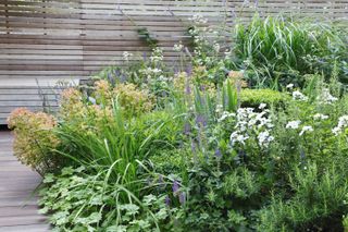 how to make a garden feel modern: planting