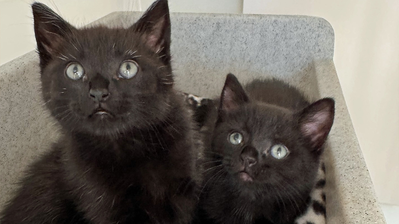 Bill and Barb at rescue center