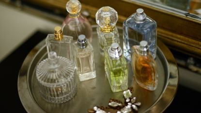 Fine fragrance trends 2023; water inspired • TrendAroma Marketing