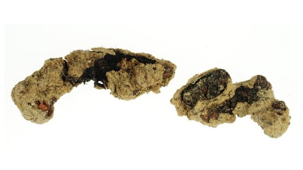 The remains of a sandal worn by a Roman soldier.