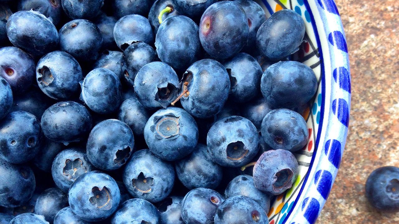 blueberries in bowl