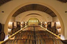 Barrel room at Serracavallo