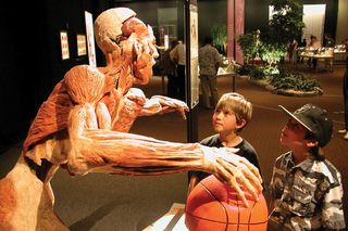 Children at a Body Worlds exhibit in Los Angeles.