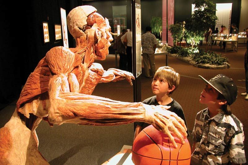 Body Worlds exhibit