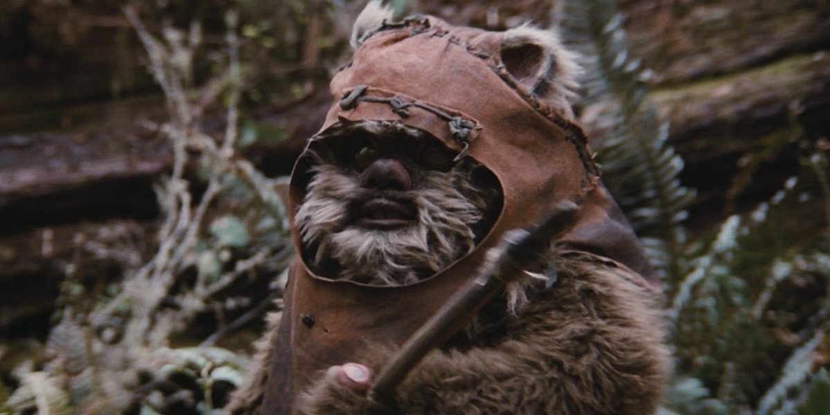 Wicket in Return of the Jedi