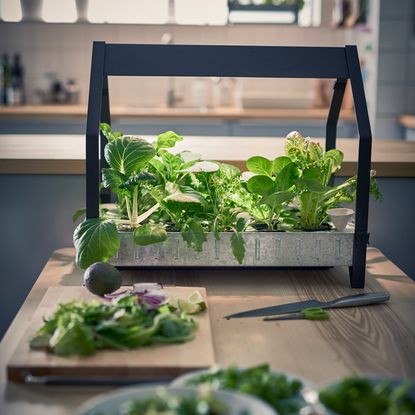 Grow your own with innovative new IKEA indoor garden accessories ...